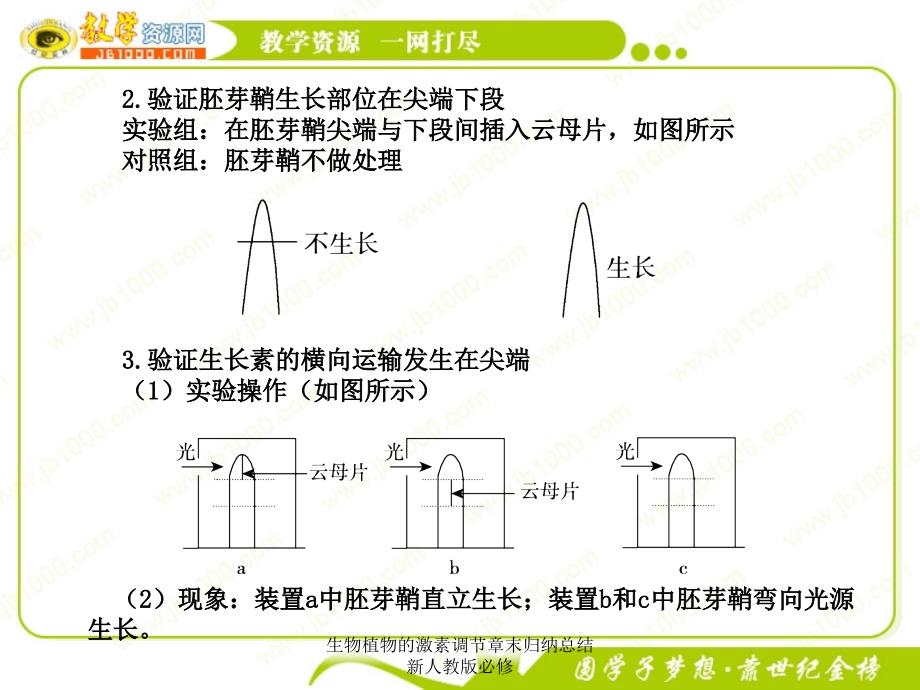 生物植物的激素调节章末归纳总结新人教版必修课件_第4页