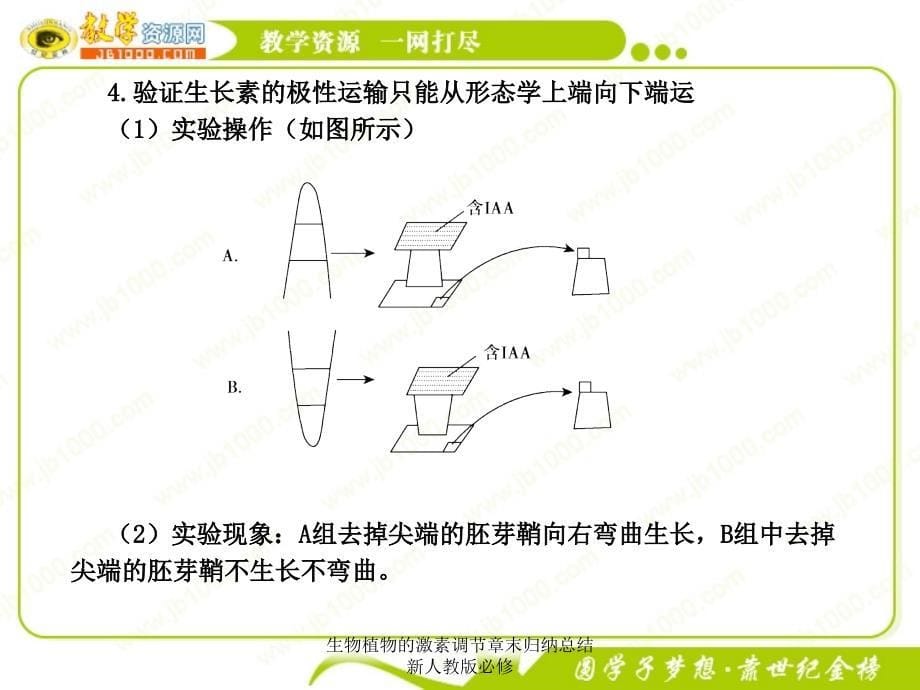 生物植物的激素调节章末归纳总结新人教版必修课件_第5页