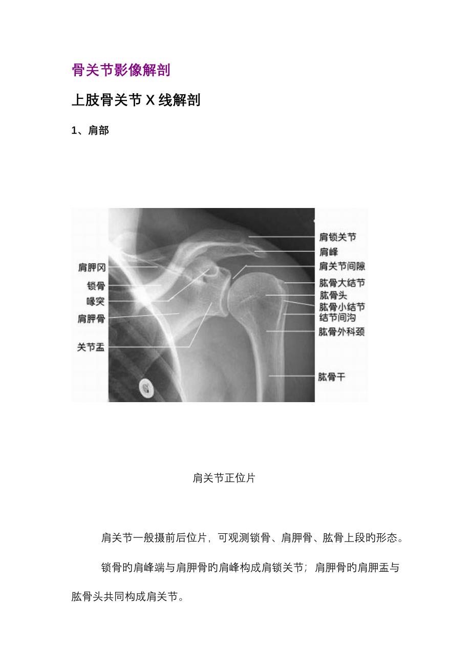 骨影像解剖_第1页