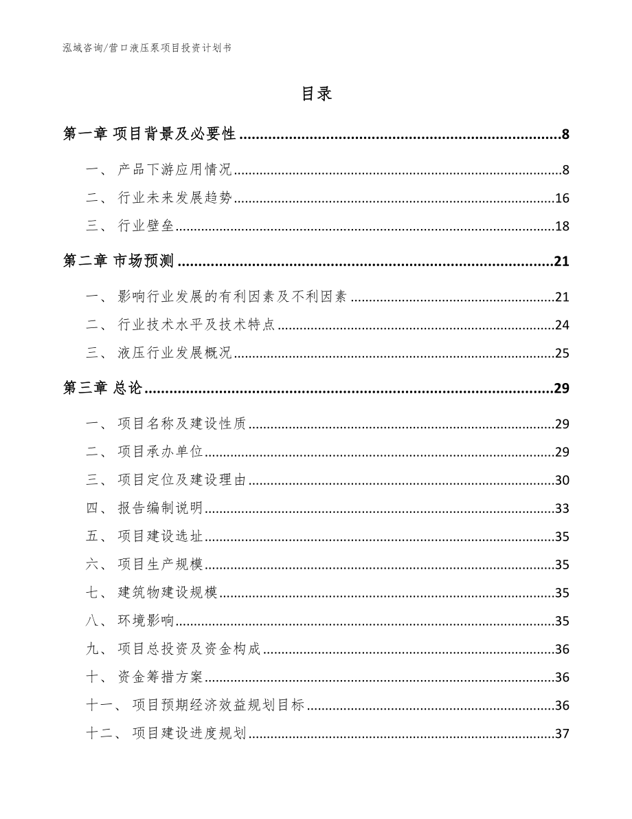 营口液压泵项目投资计划书_模板范文_第2页