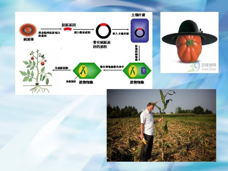 农业经营与管理七2_第5页