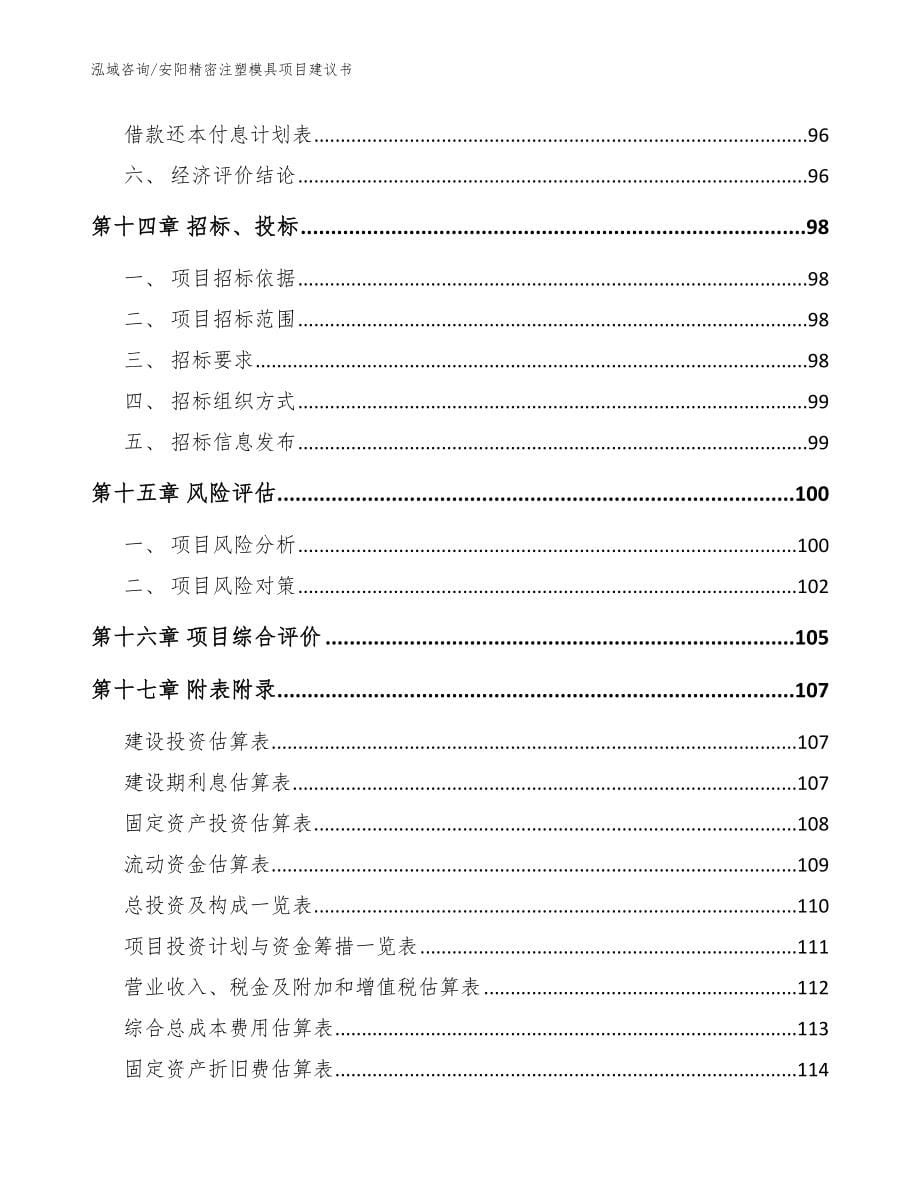 安阳精密注塑模具项目建议书（范文）_第5页