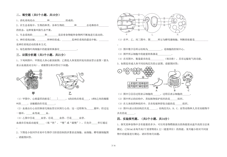 初中七年级生物上册期末考试卷(各版本).doc_第3页