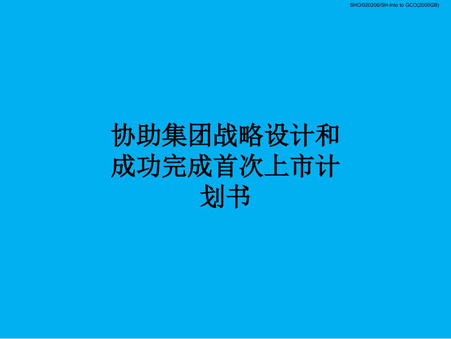 协助集团战略设计和成功完成首次上市计划书_第1页