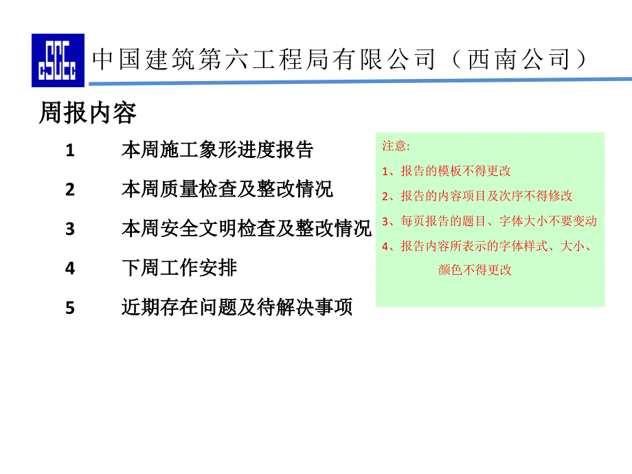 某工程公司项目周报模板_第2页