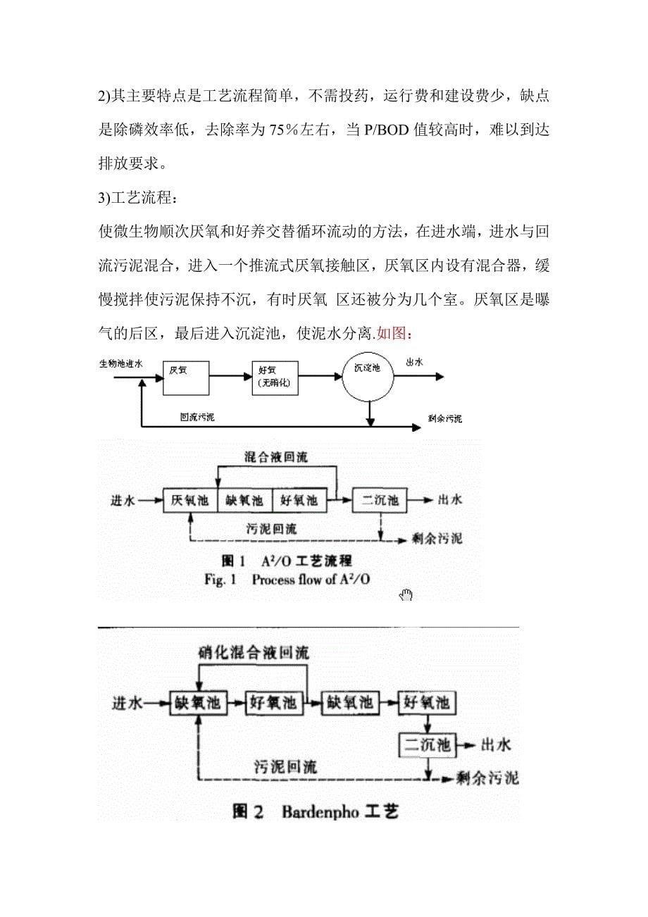 第二章.生物除磷.doc_第5页