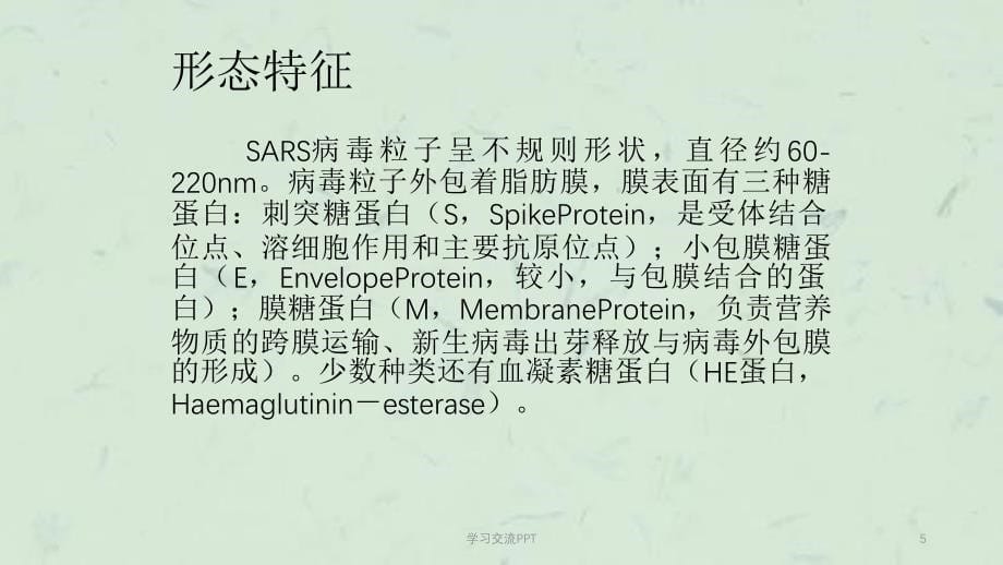 SARS病毒课件_第5页