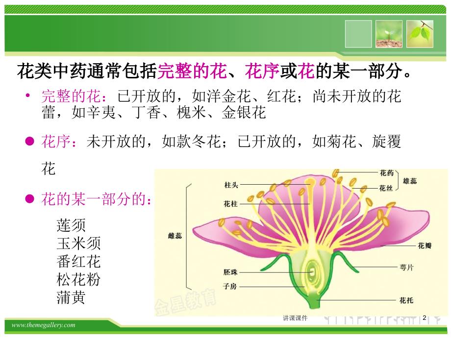 花类中药鉴定【管理材料】_第2页