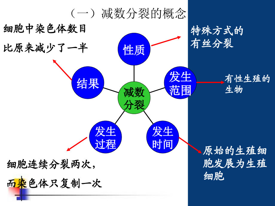 减数分裂全动画课件_第4页