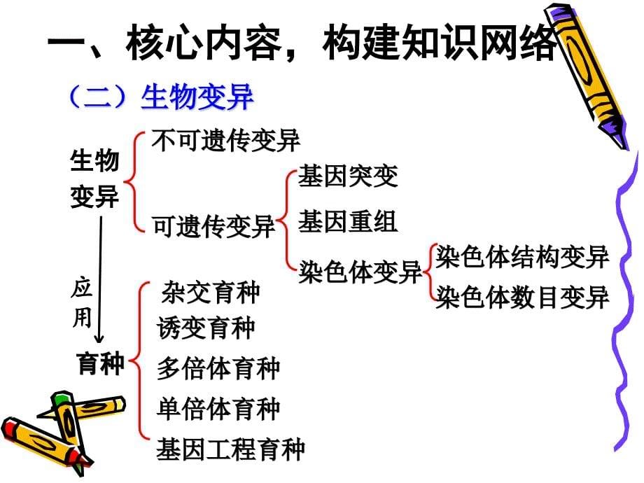 二轮遗传基本规律的复习设计_第5页