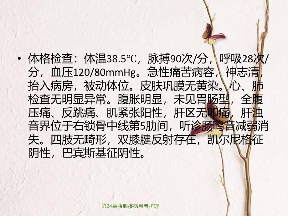 第24章胰腺疾病患者护理课件_第3页