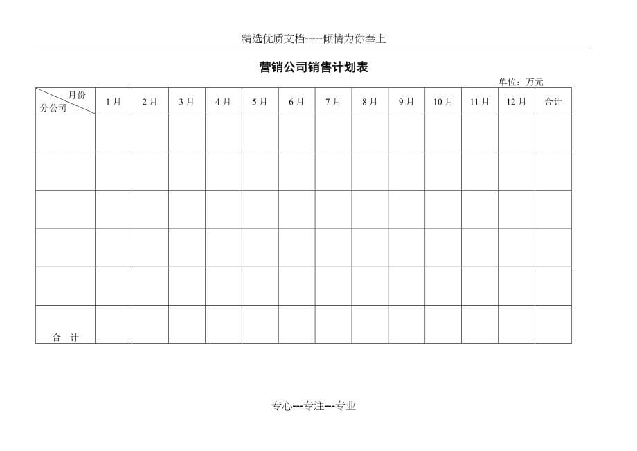 cwv--索芙特销售管理手册_第5页