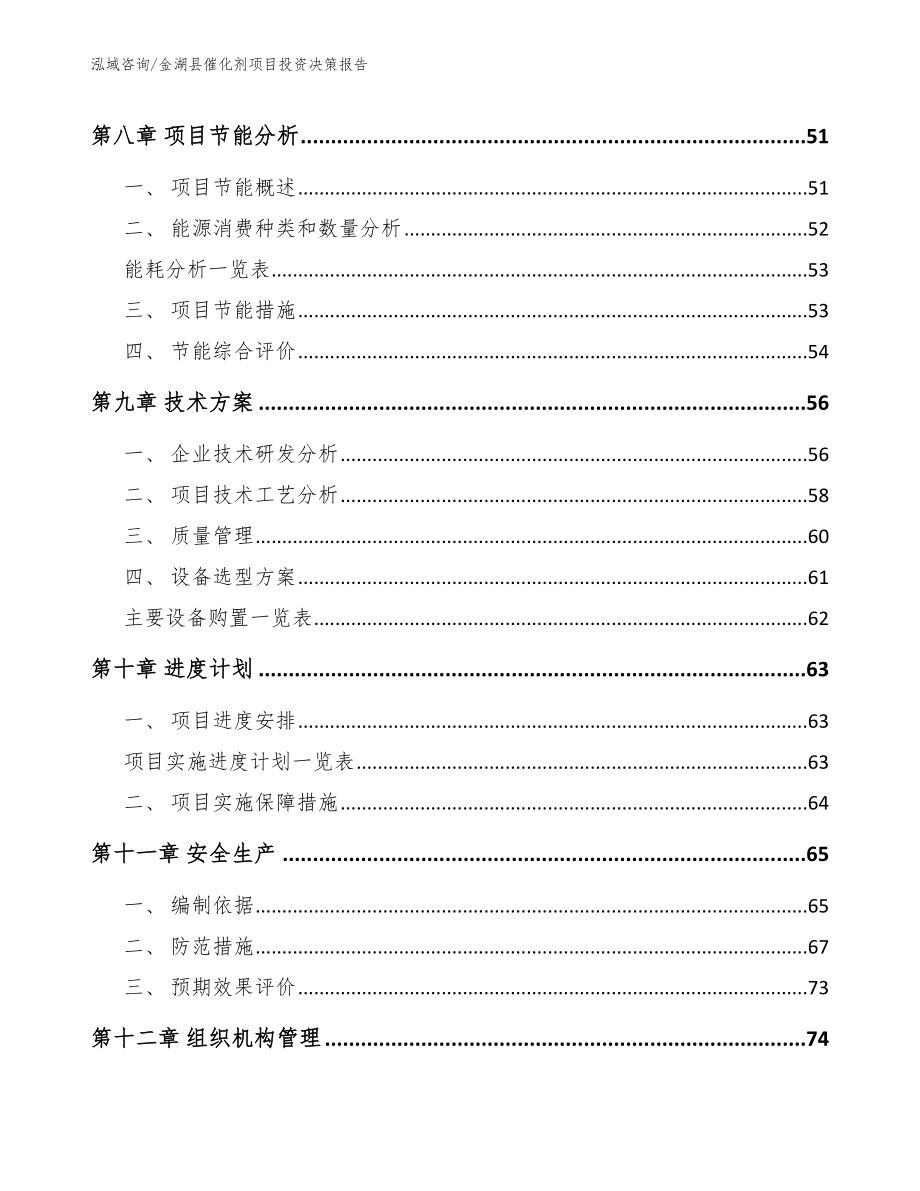 金湖县催化剂项目投资决策报告（模板）_第3页