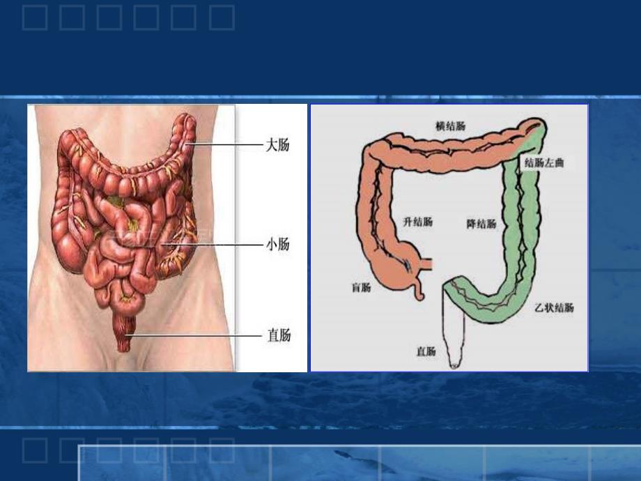 结直肠癌的免疫治_第2页