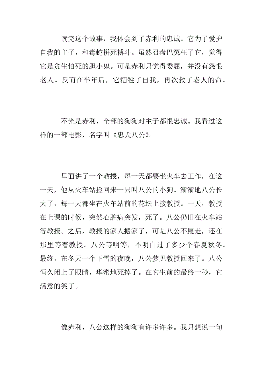 2023年最新第七条猎狗读后感六篇_第4页