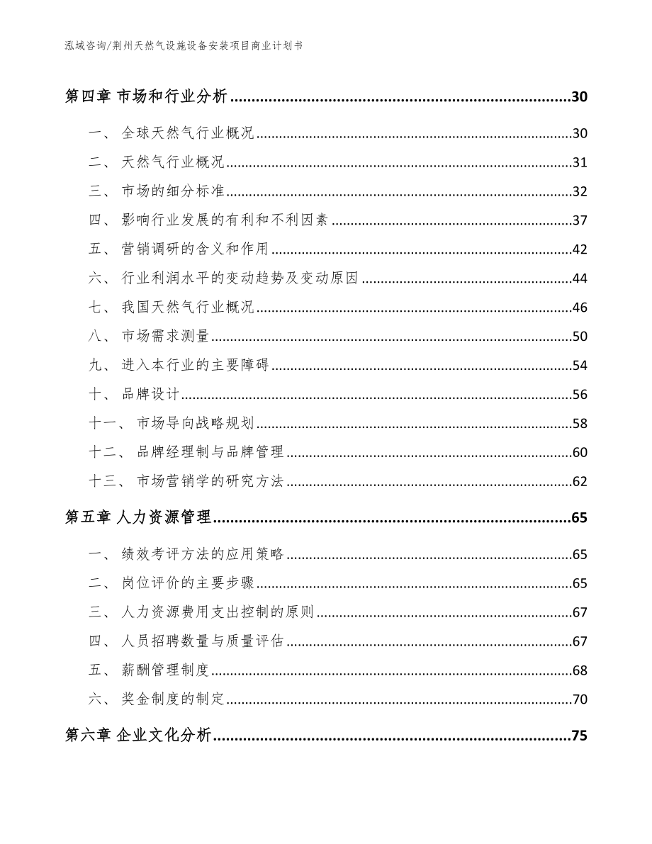 荆州天然气设施设备安装项目商业计划书_第4页