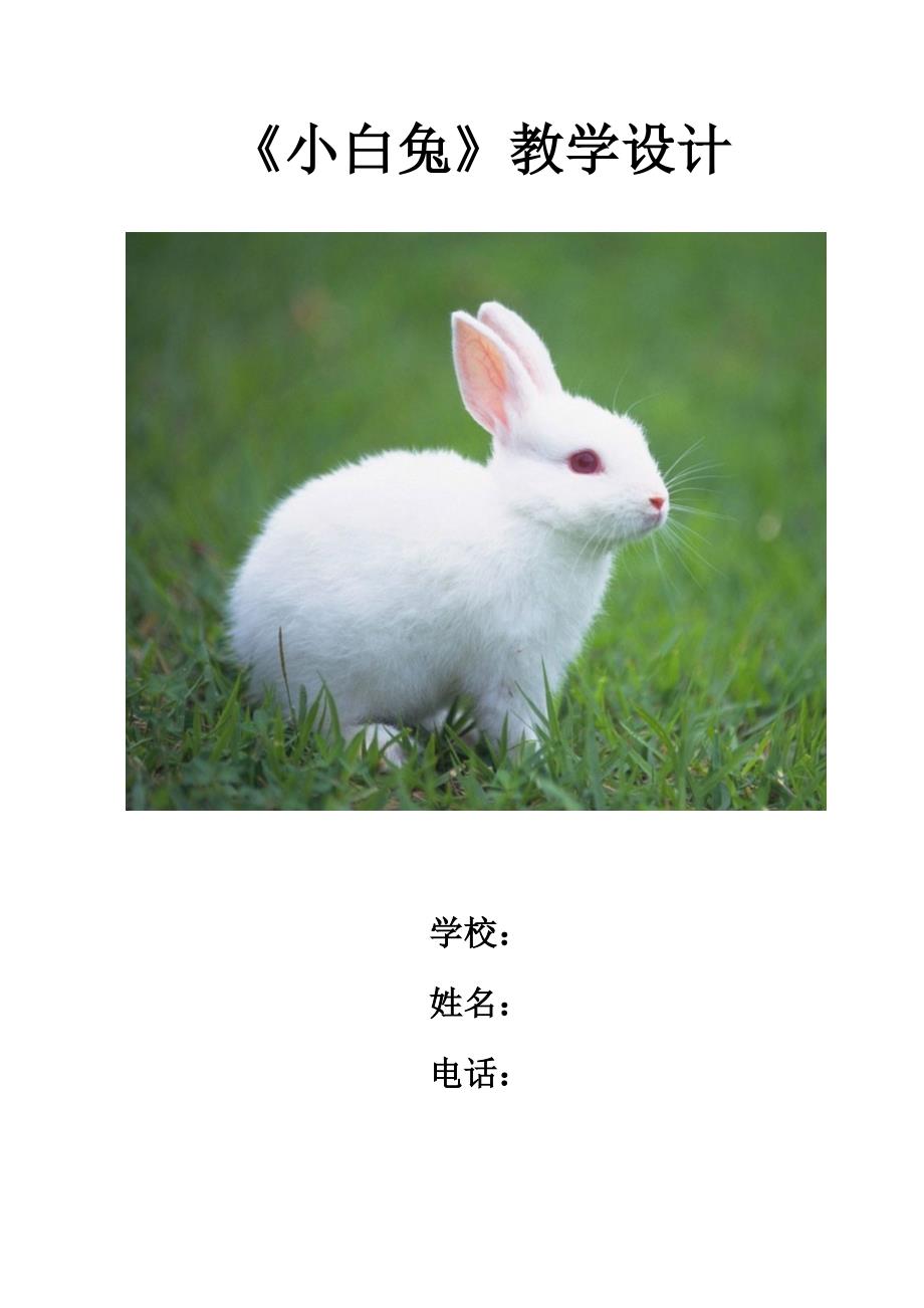 《小白兔》教学设计_第1页