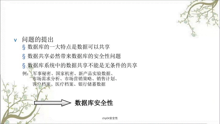 chp04安全性PPT课件_第2页