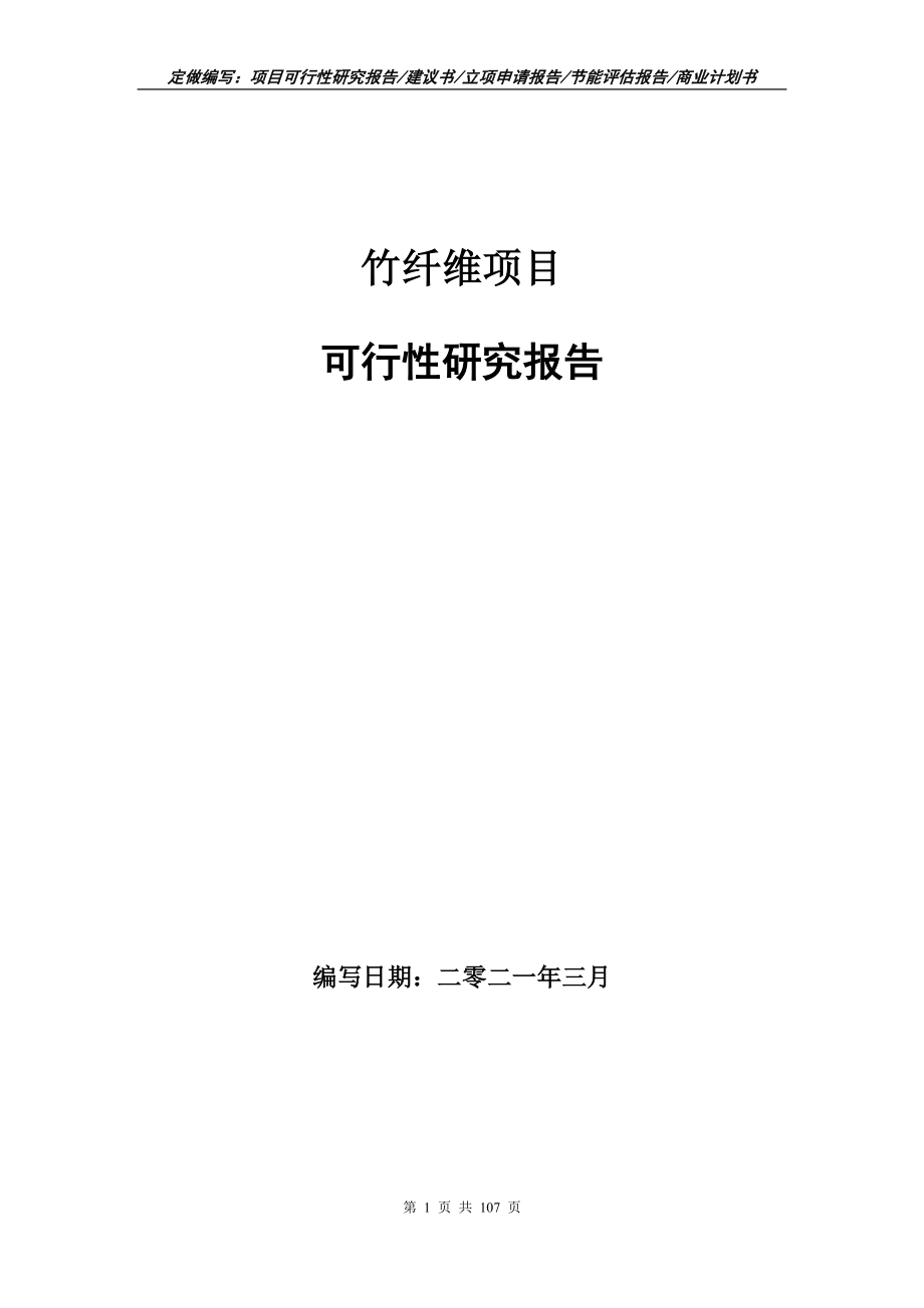 竹纤维项目可行性研究报告写作范本_第1页