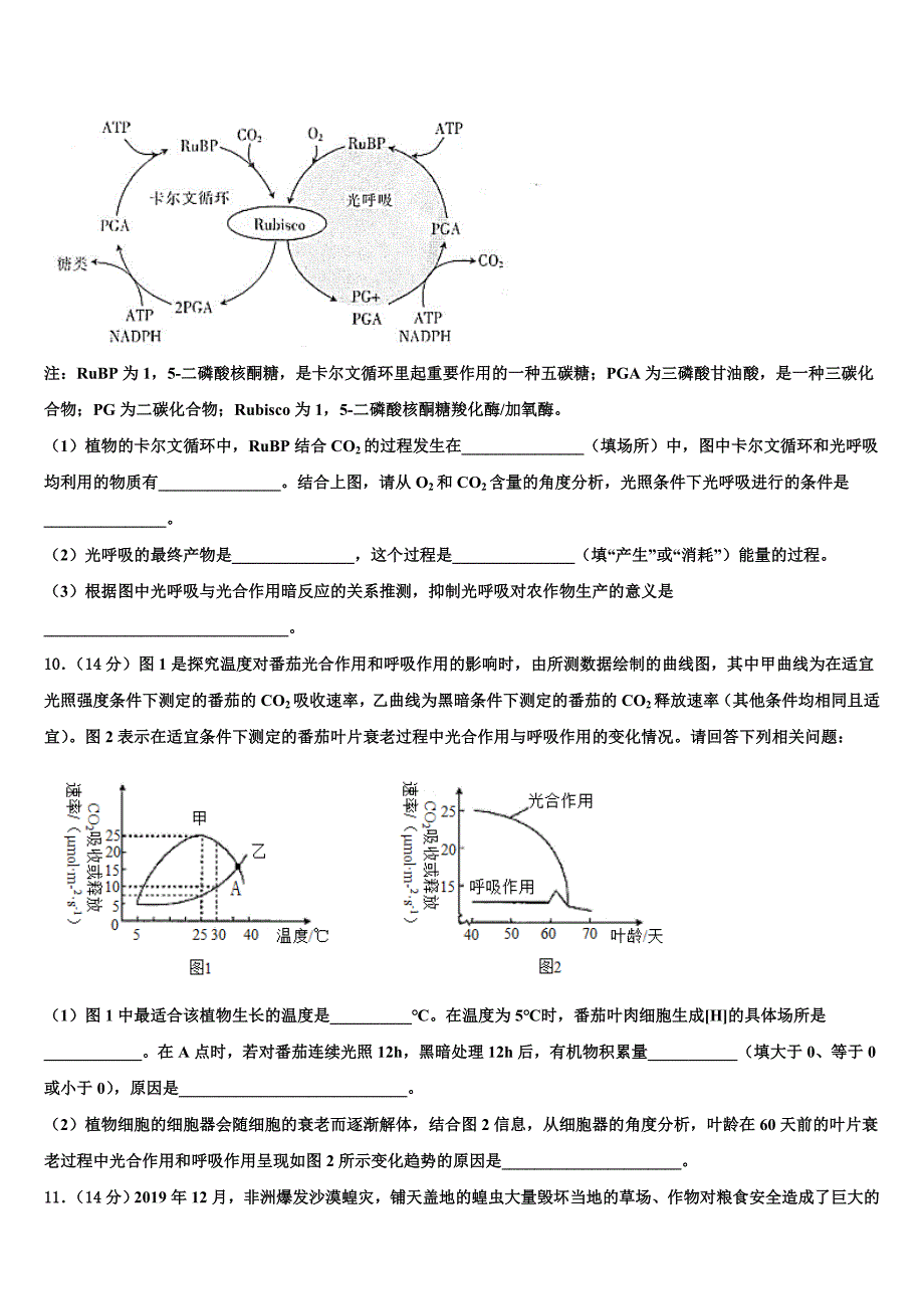 2022届广西省河池市重点中学高考仿真卷生物试题(含解析).doc_第3页