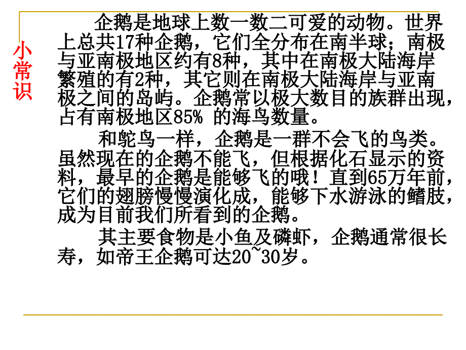 《企鹅爸爸》最终版课件总结_第3页