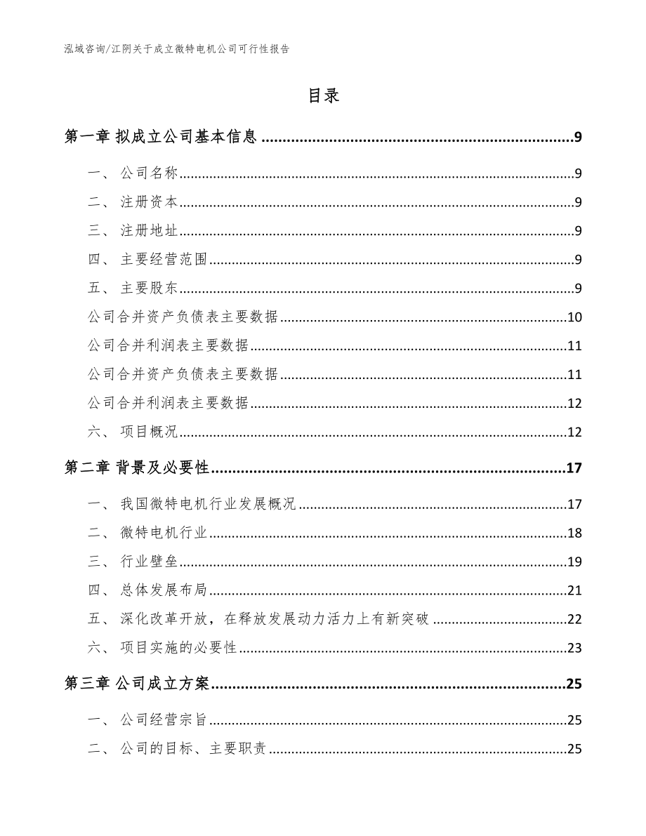 江阴关于成立微特电机公司可行性报告（模板）_第2页