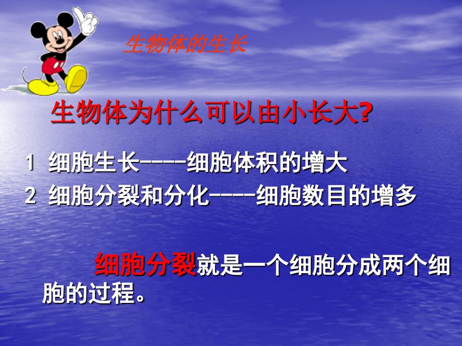 第二章第一节细胞通过分裂产生新细胞5_第3页