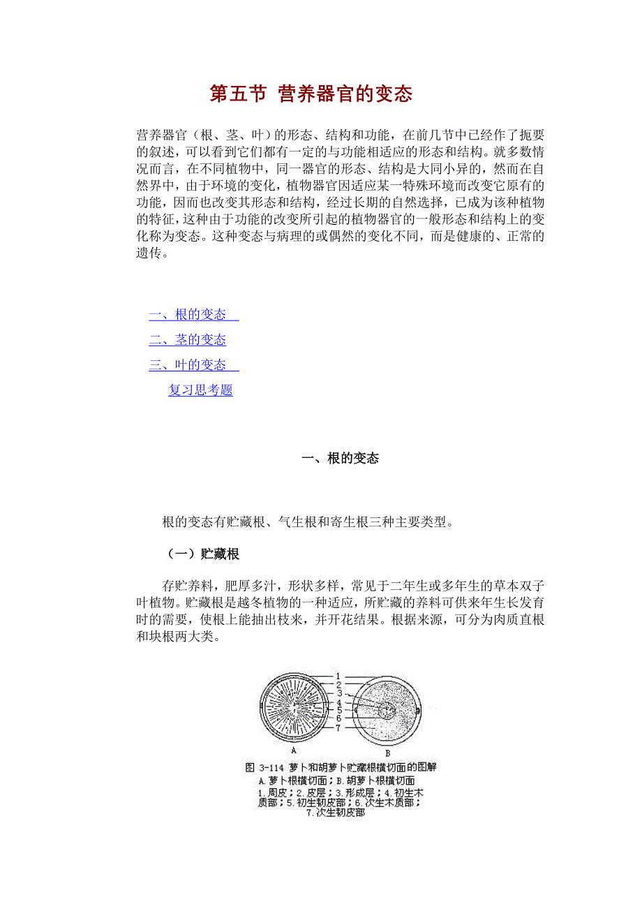 3.5第五节 营养器官的变态.doc_第1页
