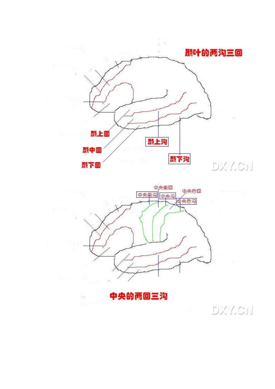 神经内科知识巧妙记忆法汇总(经典就是这么具体)_第3页