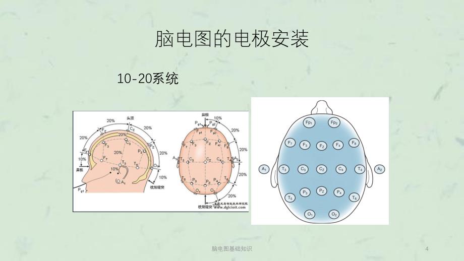 脑电图基础知识课件_第4页