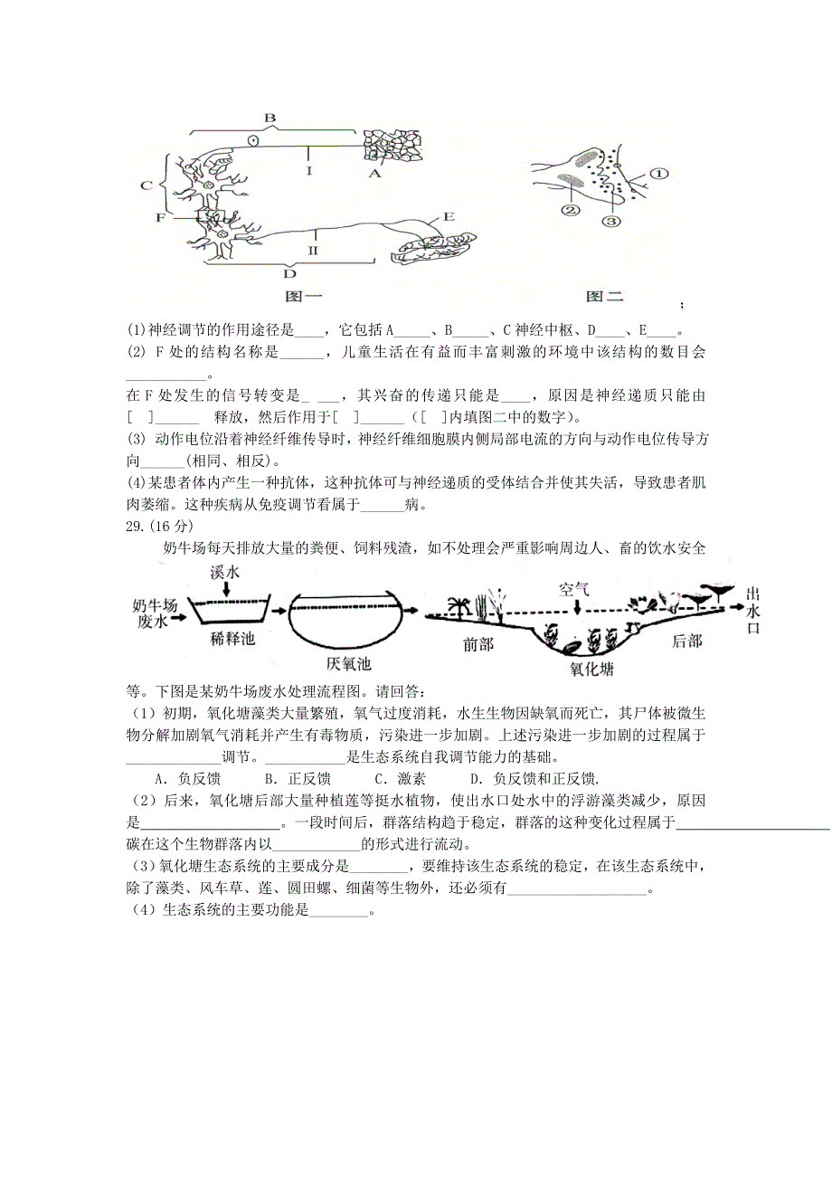 2022年高中毕业班综合测试（一）_第4页