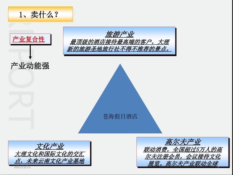 苍海高尔夫产权酒店营销推广_第5页