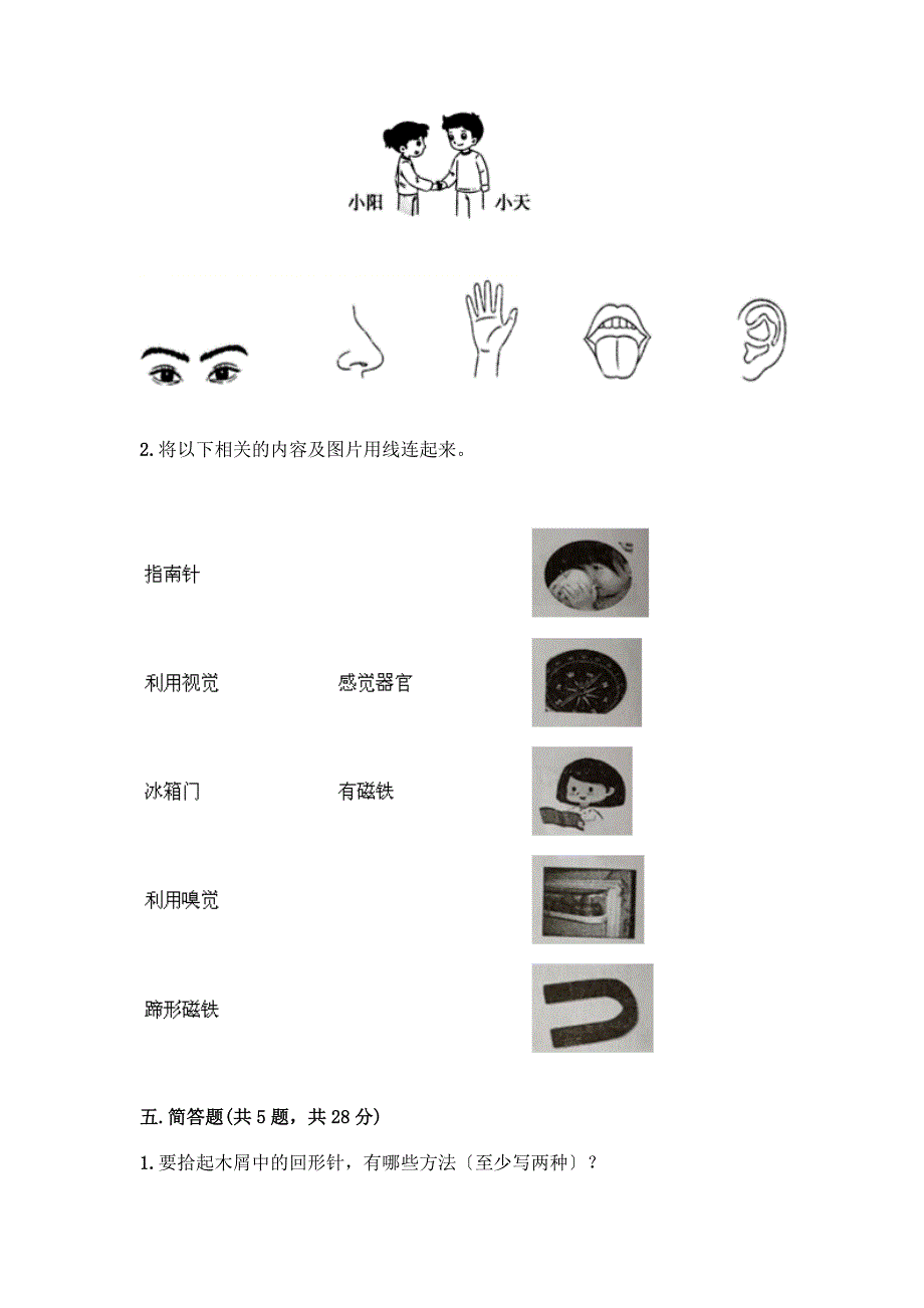 二年级下册科学期末测试卷带答案(完整版).docx_第3页