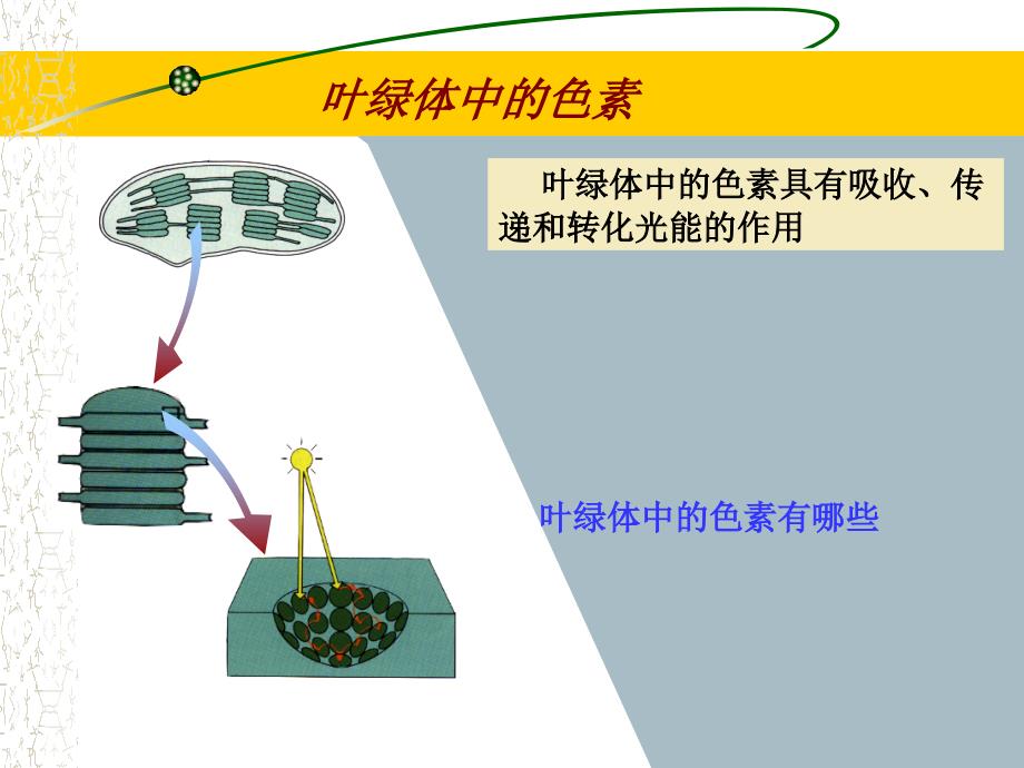 能量之源-光合作用_第4页