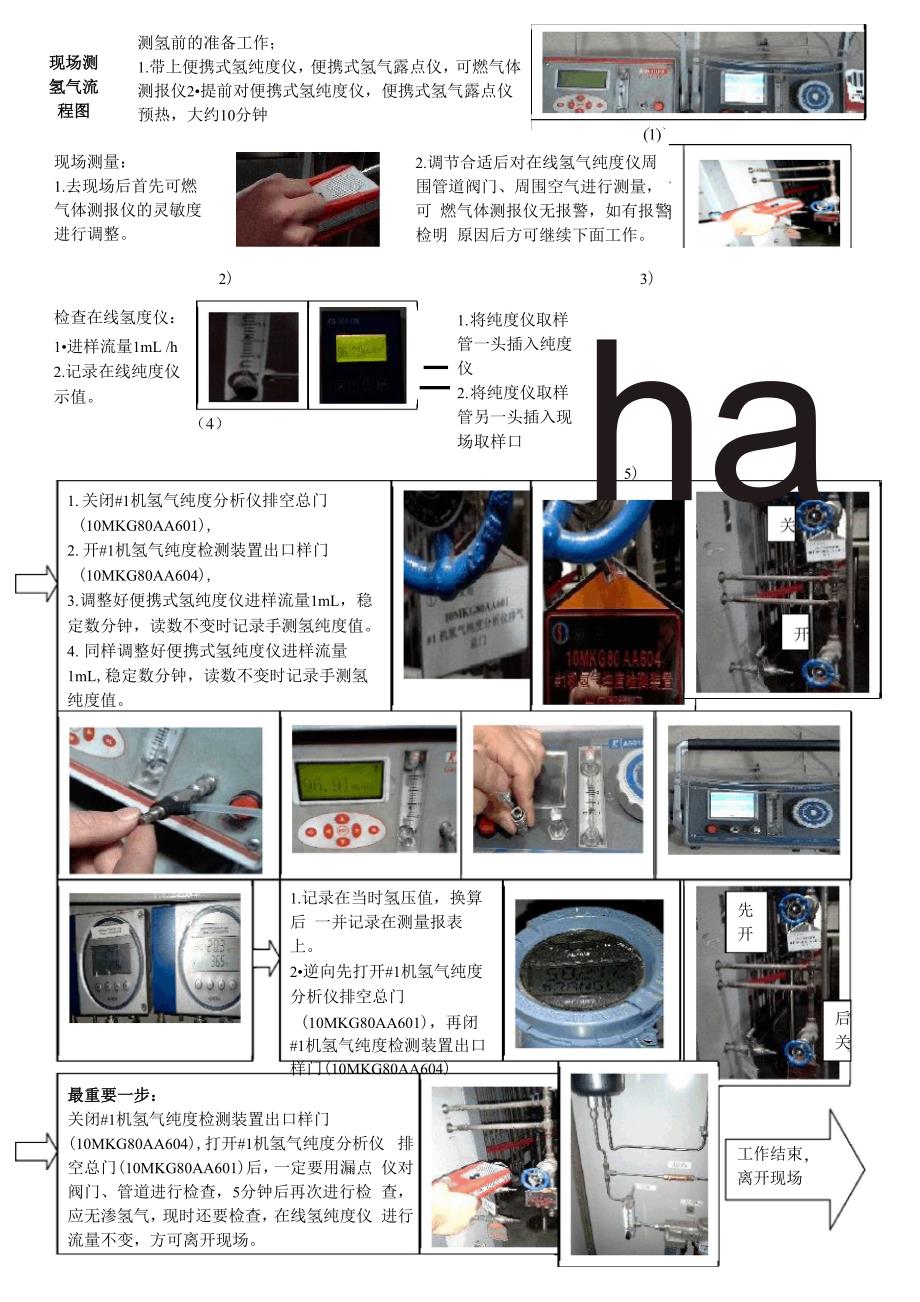 现场氢纯度测量方法_第1页