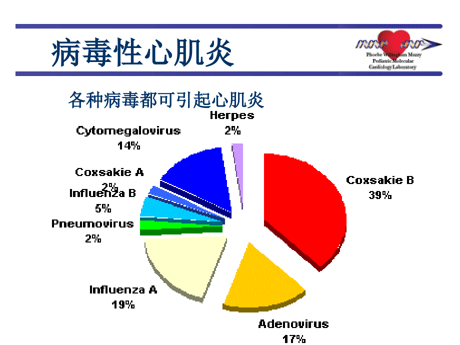 病毒性心肌炎和心肌病课件_第4页