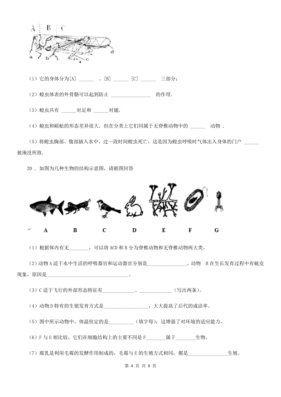 人教版八年级上册生物 第五单元 第一章 动物的主要类群 章末练习题_第4页