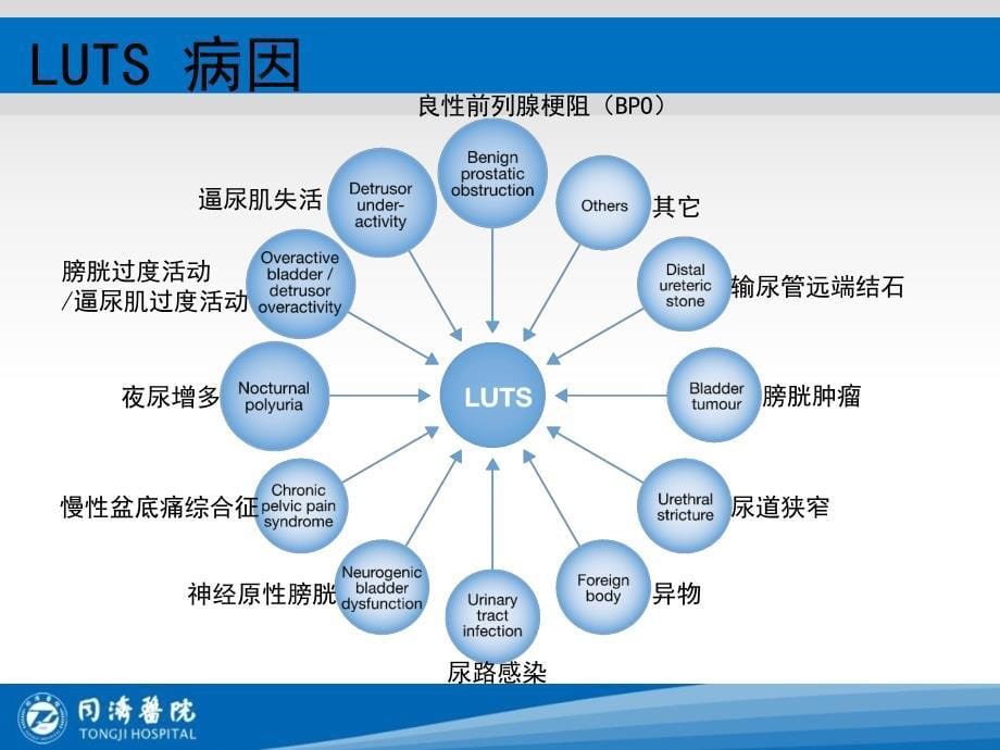 美国泌尿学会前列腺增生诊断和治疗指南_第5页