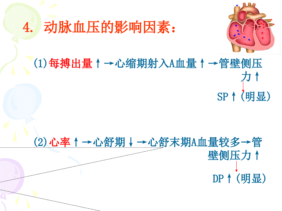 动脉血压形成机制PPT课件_第3页