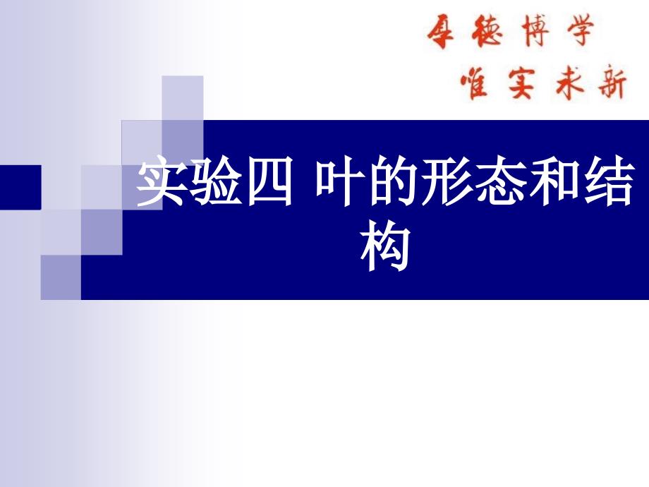 植物学课件：实验四 叶的形态和结构_第1页