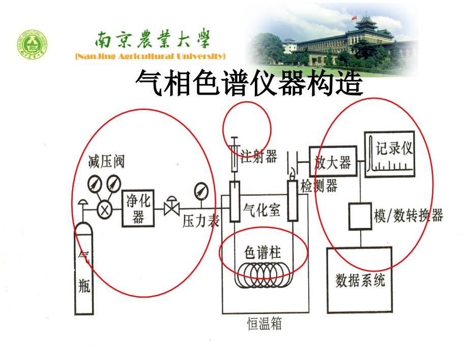 气相色谱分析硕_第2页