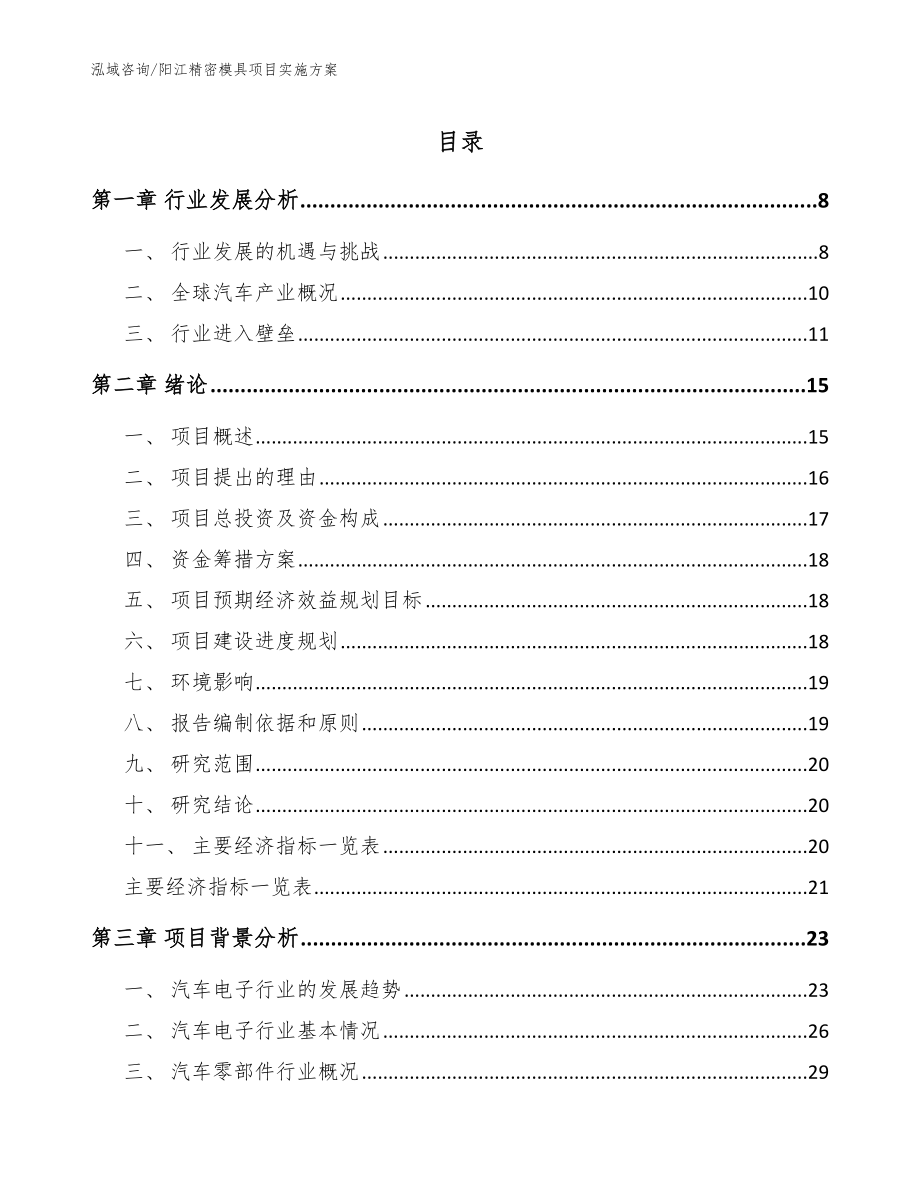 阳江精密模具项目实施方案（参考模板）_第1页