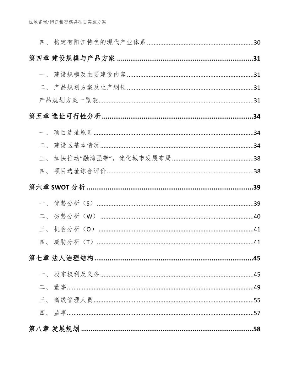 阳江精密模具项目实施方案（参考模板）_第2页