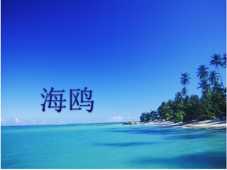 六年级上册音乐课件－第5课海鸥，我们的朋友《海鸥》｜花城版(共15张PPT)_第1页