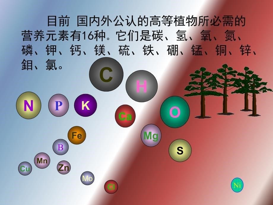 植物营养原理_第5页