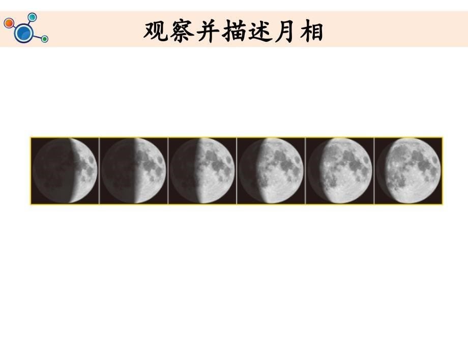 二年级上册科学优质课件-观察月相_教科版_第5页