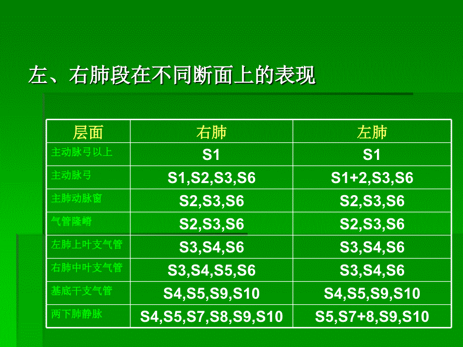 CT肺分段经典解剖_第3页