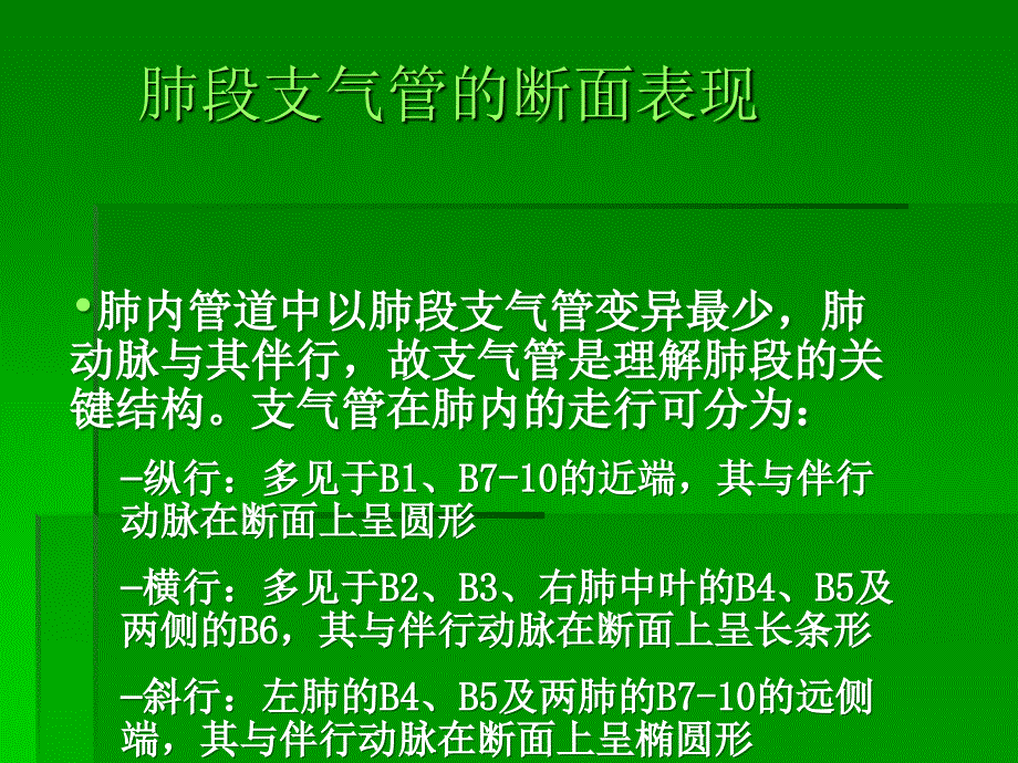 CT肺分段经典解剖_第4页