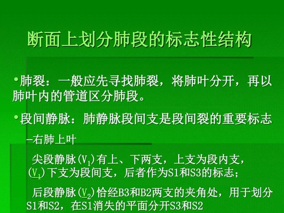 CT肺分段经典解剖_第5页