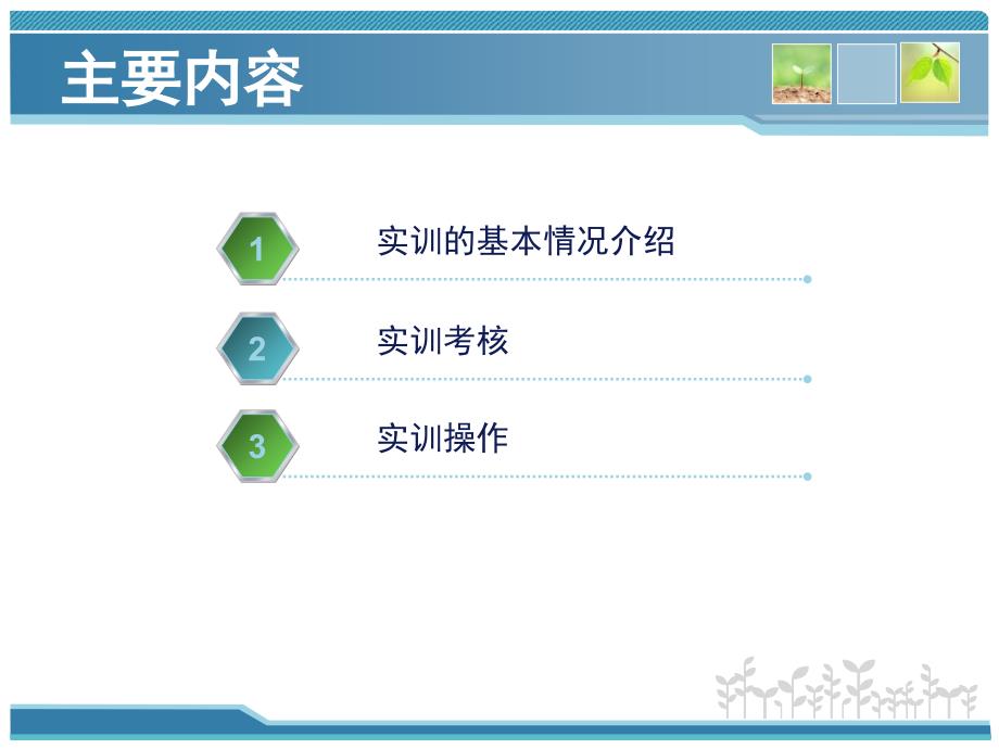 职业技能实训实验概要(工商管理课件_第2页